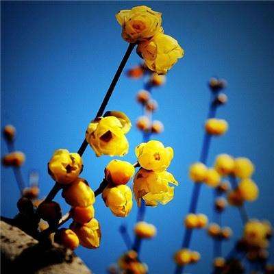 AG官方登陆入口