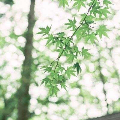 BOB体育平台下载地址截图