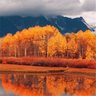 BOB体育平台下载地址